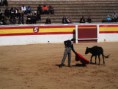 /album/fotogaleria/a10269625-1427694850817425-4300589110281312571-n-jpg/