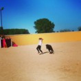 /album/fotogaleria/a10384110-10203907759756297-2527368492508822528-n-jpg/