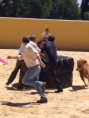 /album/fotogaleria/a10392382-1435473843372859-6281128771113518354-n-jpg/